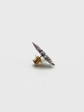 Load image into Gallery viewer, Emanuele Bicocchi crest brooch