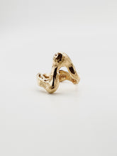 Load image into Gallery viewer, FESWA ring