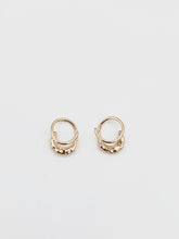 Load image into Gallery viewer, FESWA earrings